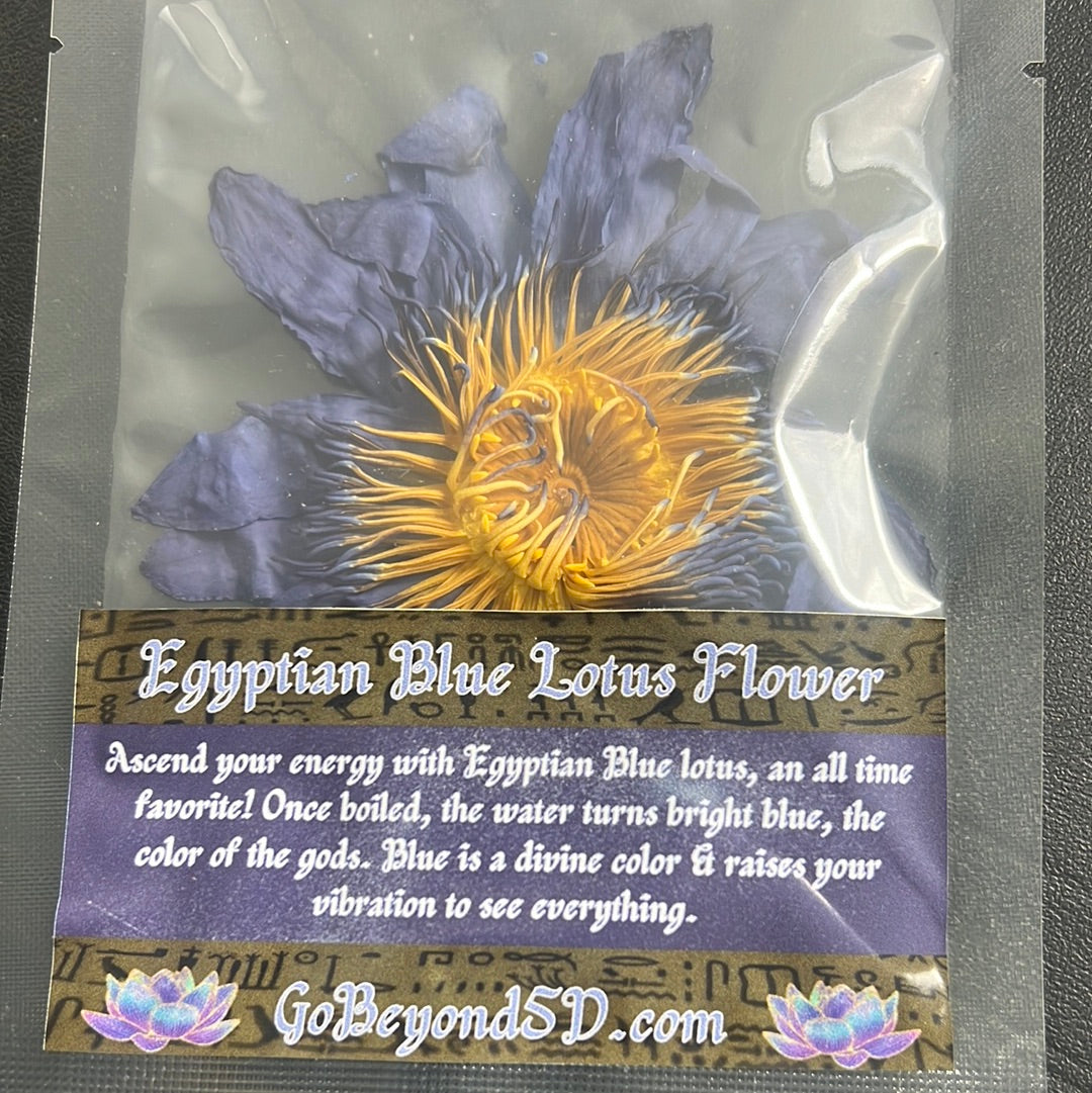 Blue Lotus Flower