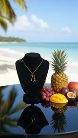 100% Pure Copper Zodiac Sign Jewelry - Comes With Copper Chain (Rare)