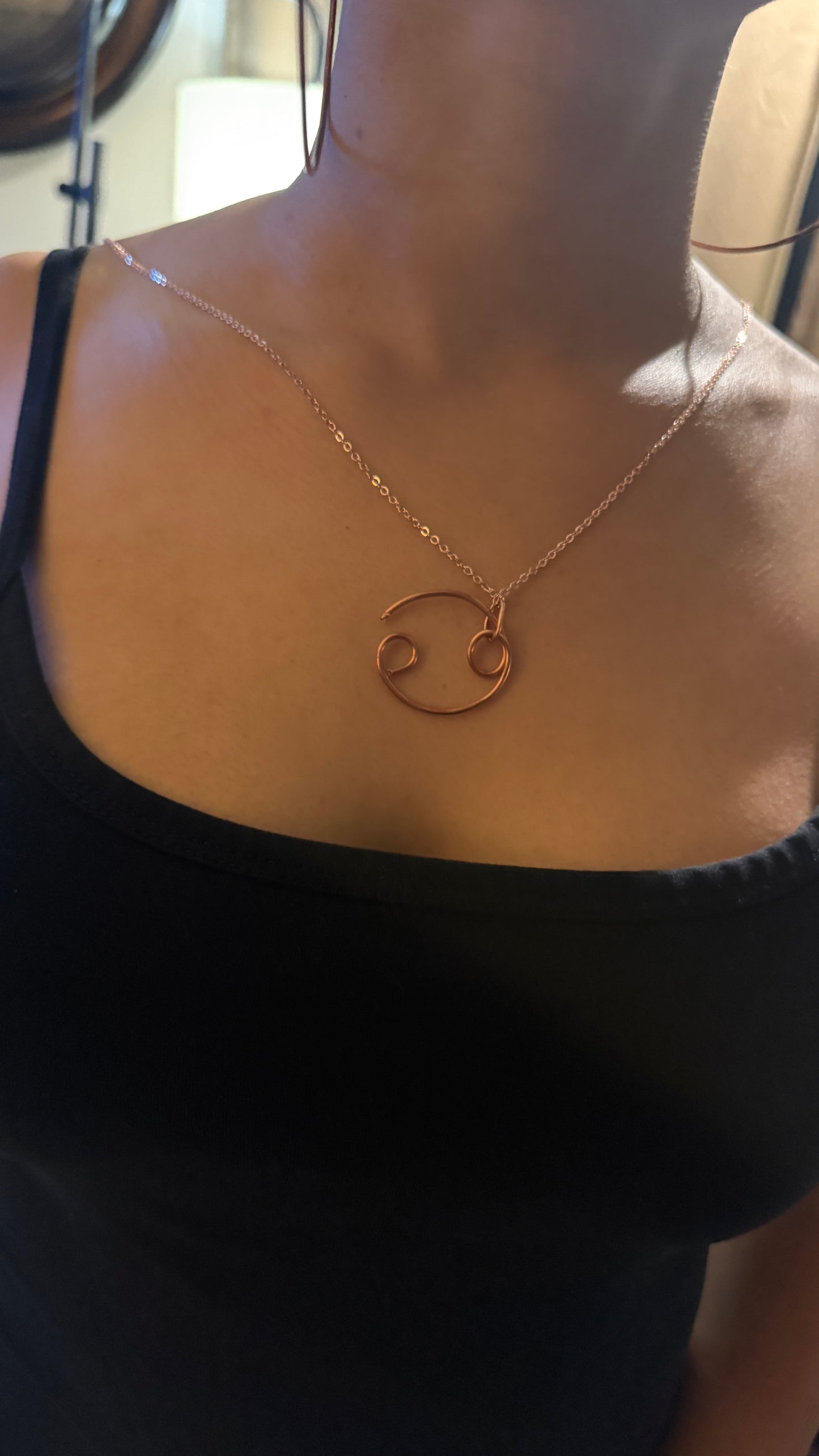 Beyond 5D 100% Pure Copper : Zodiac Sign Jewelry (Very Rare) Astrology : Comes With Copper Chain