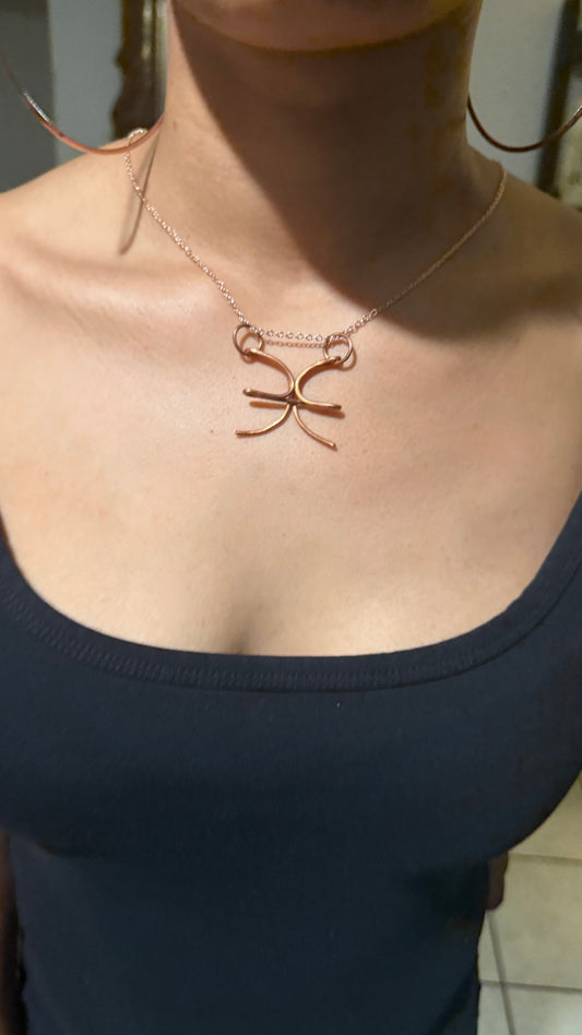 Beyond 5D 100% Pure Copper : Zodiac Sign Jewelry (Very Rare) Astrology : Comes With Copper Chain