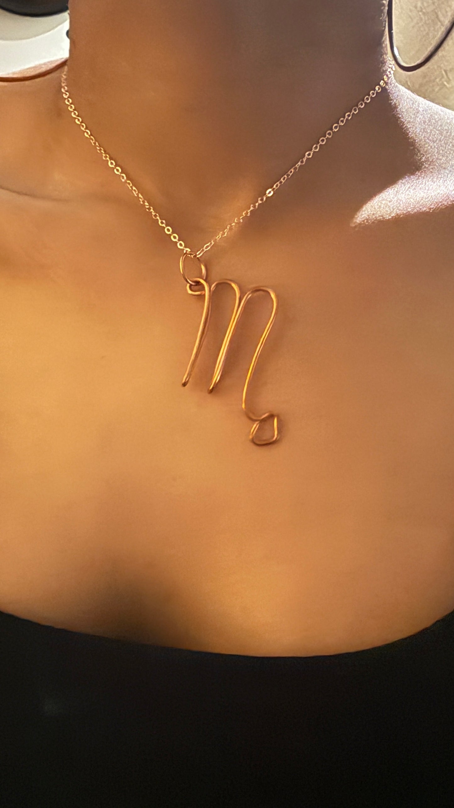 Beyond 5D 100% Pure Copper : Zodiac Sign Jewelry (Very Rare) Astrology : Comes With Copper Chain