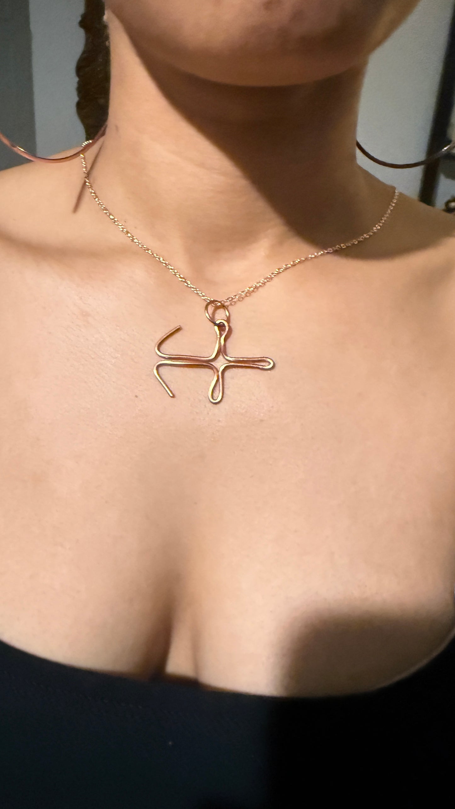Beyond 5D 100% Pure Copper : Zodiac Sign Jewelry (Very Rare) Astrology : Comes With Copper Chain