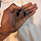 Black Labradorite - Protection From Dark Magic