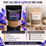 Egyptian Blue Lotus - Pesticide Free - Organic Grade (2oz)