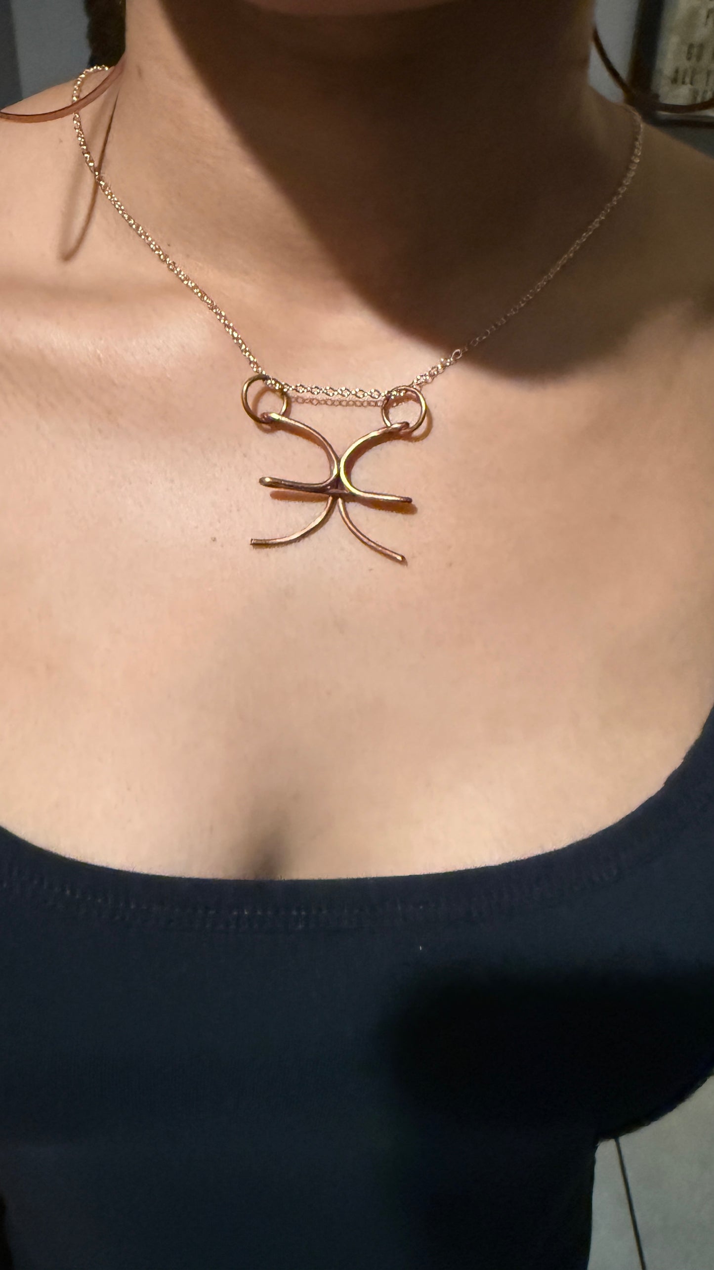 Beyond 5D 100% Pure Copper : Zodiac Sign Jewelry (Very Rare) Astrology : Comes With Copper Chain