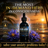 Egyptian Blue Lotus Tincture | Ancient Herbal Extract | New & Improved