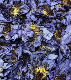 ORGANIC BLUE LOTUS (SPIRIT)​