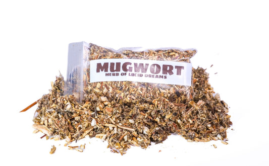 Mugwort - The Lucid Herb ( Small )