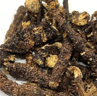 Osha Root — Clear