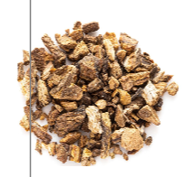 Burdock Root — Purify